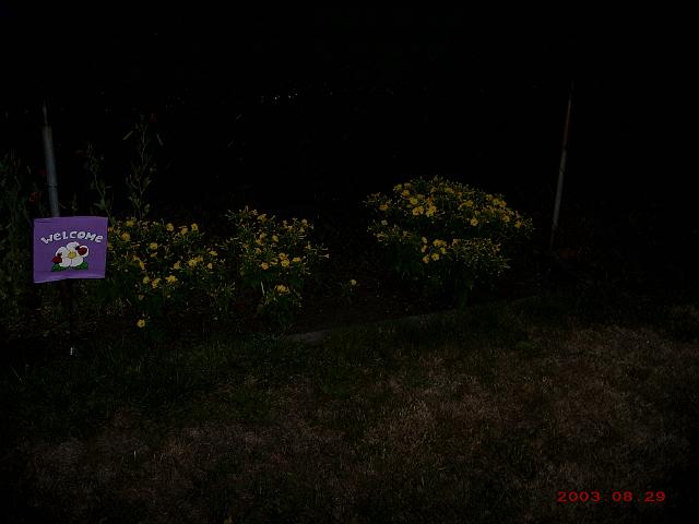 Picture 175.jpg